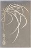 草花(水墨画)/Flowering Plant (Ink Painting) image