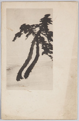 海辺の松(水墨画) / Pine Tree on the Coast (Ink Painting) image