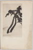 海辺の松(水墨画)/Pine Tree on the Coast (Ink Painting) image