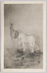 三頭の馬 / Three Horses image