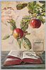 リンゴの枝の下の卓上(外国製)/On the Table under an Apple Branch (Foreign-Made) image