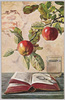 リンゴの枝の下の卓上(外国製)/On the Table under an Apple Branch (Foreign-Made) image