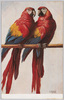 2羽のオウム(外国製)/Two Parrots (Foreign-Made) image