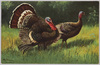 七面鳥(外国製)/Turkeys (Foreign-Made) image