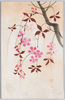 枝垂れ桜/Weeping Cherry Tree image