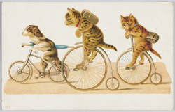 自転車で出かける犬と猫(外国製) / Dog and Cats Going Out on Bicycles (Foreign-Made) image