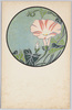 花のデザイン(12)朝顔/Flower Design (12) Morning Glory image