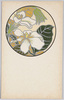 花のデザイン(13)/Flower Design (13) image