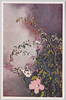 夏の花(4)/Summer Flowers (4) image