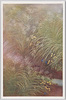 秋草(4)/Autumn Plants (4) image