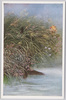 秋草(7)/Autumn Plants (7) image