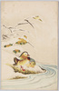 雪中の鴛鴦/Mandarin Ducks in the Snow image