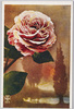 ばらの花(2)/Rose Flower (2) image