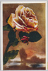 ばらの花(4)/Rose Flower (4) image