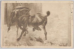 二頭の馬 / Two Horses image