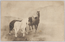 三頭の馬 / Three Horses image