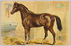 馬小屋の馬(外国製) / Horse in a Stable (Foreign-Made) image