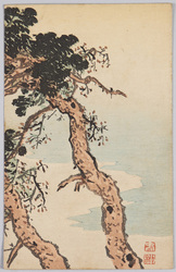 浜辺の松 / Pine Trees on the Beach image