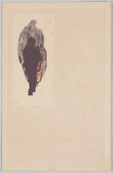 夜道を行く人 / A Person Going by Night image