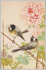 野鳥(4) ヒガラ/Wild Birds (4) Coal tit image