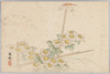小菊とトンボ/Chrysanthemums and Dragonfly image