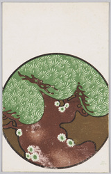 老松 / Old Pine Tree image