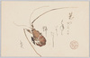 花やかに年はよりたし飾海老 千代/Hanayakani Toshiwa Yoritashi Kazariebi, Haiku Poem by Chiyo image