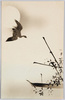 水辺に降りる鳥/Bird Descending toward the Waterside image