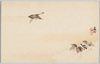 南天と鳥/Heavenly Bamboo and Bird image