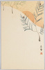 旭日と松の枝/Pine Branches with the Rising Sun image