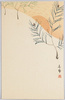 旭日と松の枝/Pine Branches with the Rising Sun image