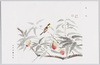 「花鳥」 堂本印象先生/Peaches and Bird, Mr. Dōmoto Inshō image