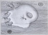 絵葉書世界 「こぼれ汁」篠原勝之/Picture Postcard World: Spilt Liquid by Shinohara Katsuyuki image