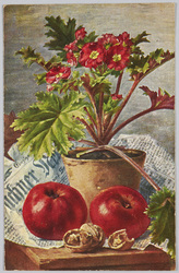 鉢植えの花とリンゴとクルミ(外国製) / Flowers in a Plant Pot with Apples and Walnuts (Foreign-Made) image