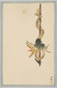 三都諸大家筆 龍名所えはがき 四集(2)藁の飾り/Paintings by Great Masters from Three Large Cities, Picture Postcards of Places Renowned for Dragon, Series 4 (2) Straw Decoration image
