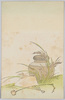 壺、稲穂、扇と柄杓/Pot, Rice Ears, Fan, and Dipper image