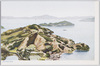 瀬戸内海/Seto Inland Sea image