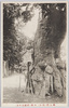 欅大門(府中)　大欅(周囲三十尺)/Keyaki Daimon (Zelkova Tree-Lined Avenue) (Fuchū) Large Zelkova Tree (Girth: 30 Shaku (Approx. 9 Meters)) image