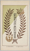 印刷局創立五十年記念絵葉書　袋/Envelope for Picture Postcards Commemorating the 50th Anniversary of the Printing Bureau image