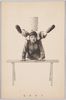 中華曲技/Chinese Acrobatics image