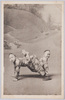 [中国雑技] / Chinese Acrobatics image