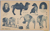 シバタ・サーカス　象の曲芸　雪枝　学者犬トミー　ラクダ　シルバコアリナ/Shibata Circus, Elephant Acrobatics, Yukie, Tommy the Scholar Dog, Camel, Alina Silvako image