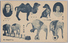 シバタ・サーカス　象の曲芸　雪枝　学者犬トミー　ラクダ　シルバコアリナ/Shibata Circus, Elephant Acrobatics, Yukie, Tommy the Scholar Dog, Camel, Alina Silvako image