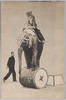 (万国婦人子供博覧会)象の太鼓乗り/(The Women's and Children's International Exhibition) Elephant Standing on a Drum image
