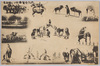 万国婦人子供博覧会/The Women's and Children's International Exhibition image