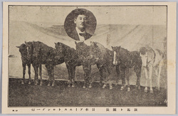 放馬ト団長 日本アームストロング一行 / Free-range Horses and Circus Master, Japan Armstrong Group image