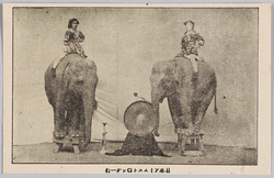 日本アームストロング一行 / Japan Armstrong Group image
