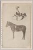 日本アームストロング一行　天下一品馬上ノ宙返り　木下信子/Japan Armstrong Group, Peerless Somersault on Horseback, Kinoshita Nobuko image