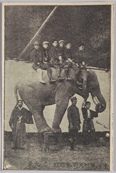 東洋無比 矢野動物館 大象 / Unrivaled in East Asia, Yano Zoo, Great Elephant image