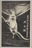 東洋無比　矢野動物園本部　純白猿/Unrivaled in East Asia, Yano Zoo, Pure White Monkey image